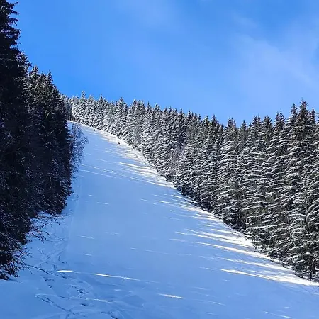 Enjoyharrachov - Atraktivní Slunný Klimatizovaný 14 V Centru Se Saunou, Parkováním, Wifi-wlan, Sat, Herní Konzolí, Pc S Win 10, Netflix Zdarma A Možností Dobíjení Auta S Výhledem Na čertovu Horu Se Skokanskými Můstky Jen 150m Od Lanovky Appartamento
