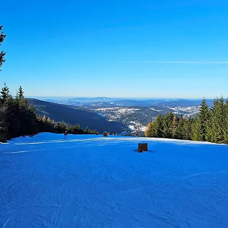Enjoyharrachov - Atraktivní Slunný Klimatizovaný 14 V Centru Se Saunou, Parkováním, Wifi-wlan, Sat, Herní Konzolí, Pc S Win 10, Netflix Zdarma A Možností Dobíjení Auta S Výhledem Na čertovu Horu Se Skokanskými Můstky Jen 150m Od Lanovky Appartamento Harrachov