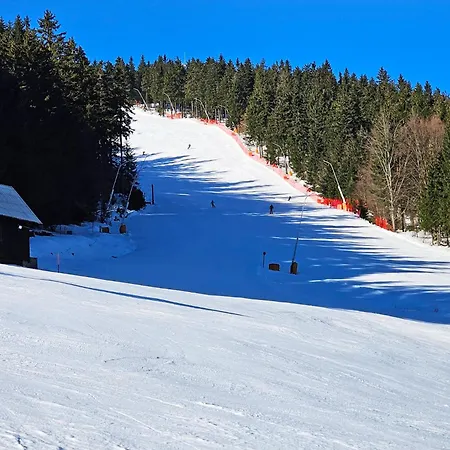 Enjoyharrachov - Atraktivni Slunny Klimatizovany 14 V Centru S Terasou A Parkovanim, Saunou , Wifi-wlan, Sat, Herni Konzoli, Pc S Win 10, Netflix Zdarma A Moznosti Dobijeni Auta S Vyhledem Na Certovu Horu Se Skokanskymi Mustky Jen 150m Od La Lejlighed Harrachov