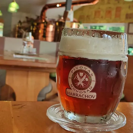 Enjoyharrachov - Atraktivní Slunný Klimatizovaný 14 V Centru Se Saunou, Parkováním, Wifi-wlan, Sat, Herní Konzolí, Pc S Win 10, Netflix Zdarma A Možností Dobíjení Auta S Výhledem Na čertovu Horu Se Skokanskými Můstky Jen 150m Od Lanovky Appartamento