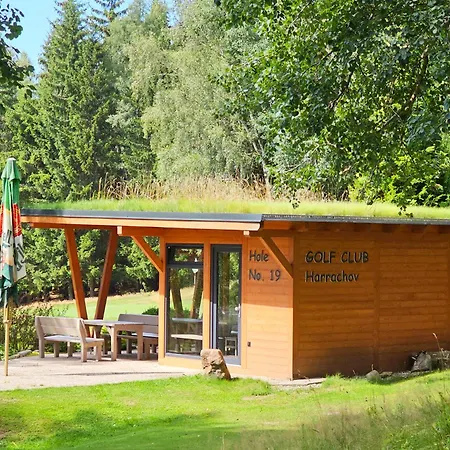 Appartamento Enjoyharrachov - Atraktivní Slunný Klimatizovaný 14 V Centru Se Saunou, Parkováním, Wifi-wlan, Sat, Herní Konzolí, Pc S Win 10, Netflix Zdarma A Možností Dobíjení Auta S Výhledem Na čertovu Horu Se Skokanskými Můstky Jen 150m Od Lanovky Harrachov