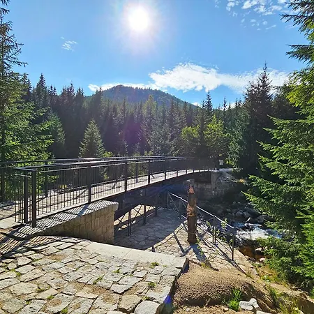 Enjoyharrachov - Atraktivní Slunný Klimatizovaný 14 V Centru Se Saunou, Parkováním, Wifi-wlan, Sat, Herní Konzolí, Pc S Win 10, Netflix Zdarma A Možností Dobíjení Auta S Výhledem Na čertovu Horu Se Skokanskými Můstky Jen 150m Od Lanovky
