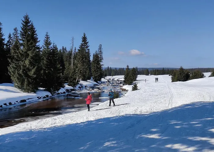 Enjoyharrachov - Atraktivni Slunny Klimatizovany 14 V Centru Se Saunou, Parkovanim, Wifi-wlan, Sat, Herni Konzoli, Pc S Win 10, Netflix Zdarma A Moznosti Dobijeni Auta S Vyhledem Na Certovu Horu Se Skokanskymi Mustky Jen 150m Od Lanovky * 하라포프