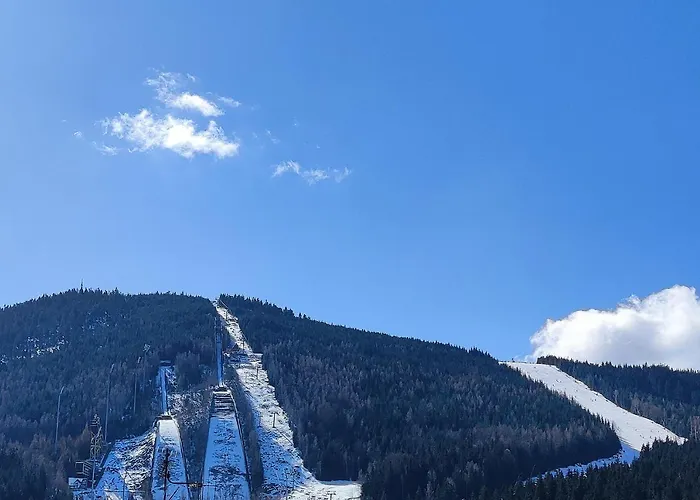아파트 Enjoyharrachov - Atraktivni Slunny Klimatizovany 14 V Centru Se Saunou, Parkovanim, Wifi-wlan, Sat, Herni Konzoli, Pc S Win 10, Netflix Zdarma A Moznosti Dobijeni Auta S Vyhledem Na Certovu Horu Se Skokanskymi Mustky Jen 150m Od Lanovky 하라포프