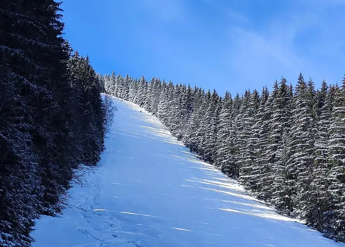 Enjoyharrachov - Atraktivni Slunny Klimatizovany 14 V Centru Se Saunou, Parkovanim, Wifi-wlan, Sat, Herni Konzoli, Pc S Win 10, Netflix Zdarma A Moznosti Dobijeni Auta S Vyhledem Na Certovu Horu Se Skokanskymi Mustky Jen 150m Od Lanovky 아파트