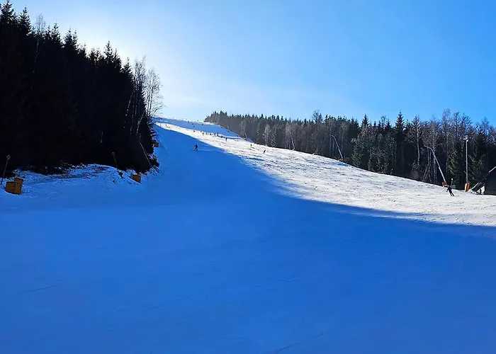 Enjoyharrachov - Atraktivni Slunny Klimatizovany 14 V Centru Se Saunou, Parkovanim, Wifi-wlan, Sat, Herni Konzoli, Pc S Win 10, Netflix Zdarma A Moznosti Dobijeni Auta S Vyhledem Na Certovu Horu Se Skokanskymi Mustky Jen 150m Od Lanovky 아파트 하라포프