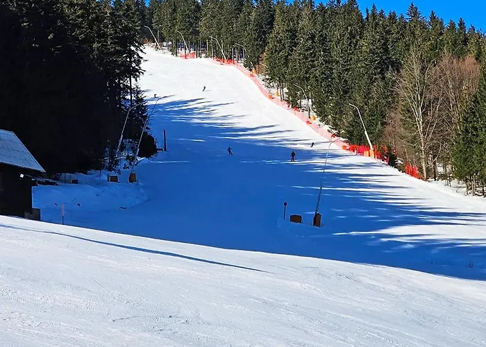 Enjoyharrachov - Atraktivni Slunny Klimatizovany 14 V Centru Se Saunou, Parkovanim, Wifi-wlan, Sat, Herni Konzoli, Pc S Win 10, Netflix Zdarma A Moznosti Dobijeni Auta S Vyhledem Na Certovu Horu Se Skokanskymi Mustky Jen 150m Od Lanovky 아파트 하라포프
