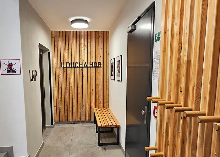 Enjoyharrachov - Atraktivni Slunny Klimatizovany 14 V Centru Se Saunou, Parkovanim, Wifi-wlan, Sat, Herni Konzoli, Pc S Win 10, Netflix Zdarma A Moznosti Dobijeni Auta S Vyhledem Na Certovu Horu Se Skokanskymi Mustky Jen 150m Od Lanovky 아파트 하라포프