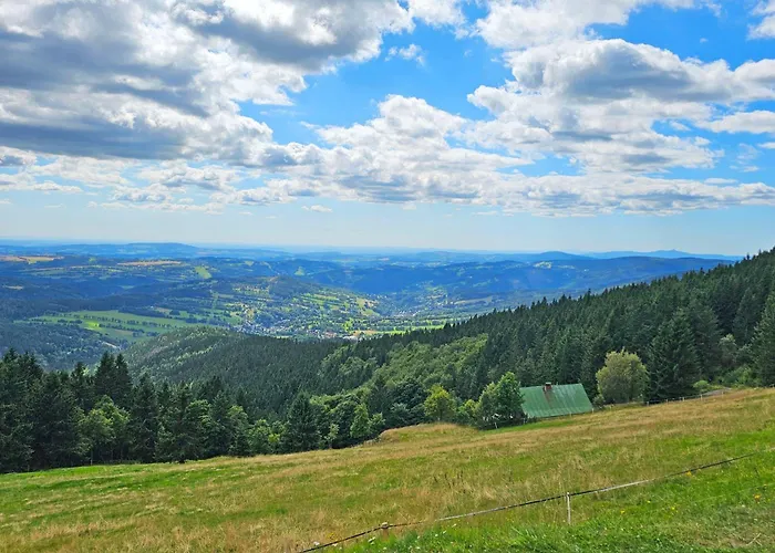 Enjoyharrachov - Atraktivni Slunny Klimatizovany 14 V Centru Se Saunou, Parkovanim, Wifi-wlan, Sat, Herni Konzoli, Pc S Win 10, Netflix Zdarma A Moznosti Dobijeni Auta S Vyhledem Na Certovu Horu Se Skokanskymi Mustky Jen 150m Od Lanovky 아파트 *