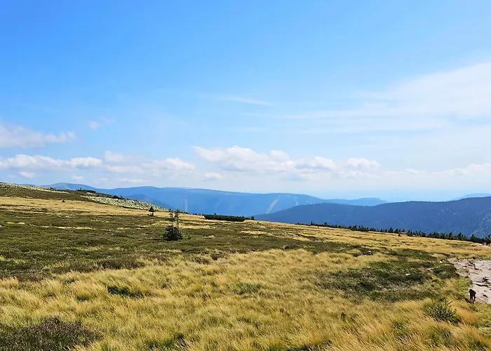 아파트 Enjoyharrachov - Atraktivni Slunny Klimatizovany 14 V Centru Se Saunou, Parkovanim, Wifi-wlan, Sat, Herni Konzoli, Pc S Win 10, Netflix Zdarma A Moznosti Dobijeni Auta S Vyhledem Na Certovu Horu Se Skokanskymi Mustky Jen 150m Od Lanovky